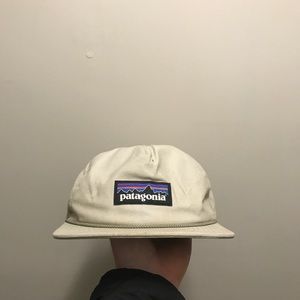 Rare Patagonia SnapBack